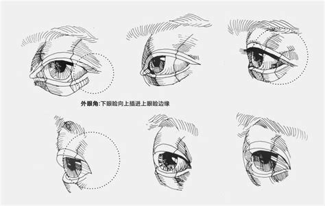 眼球形狀|眼